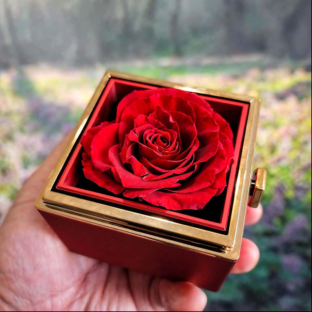 Luxurious preserved rose in a gift box, perfect for expressing love and devotion.