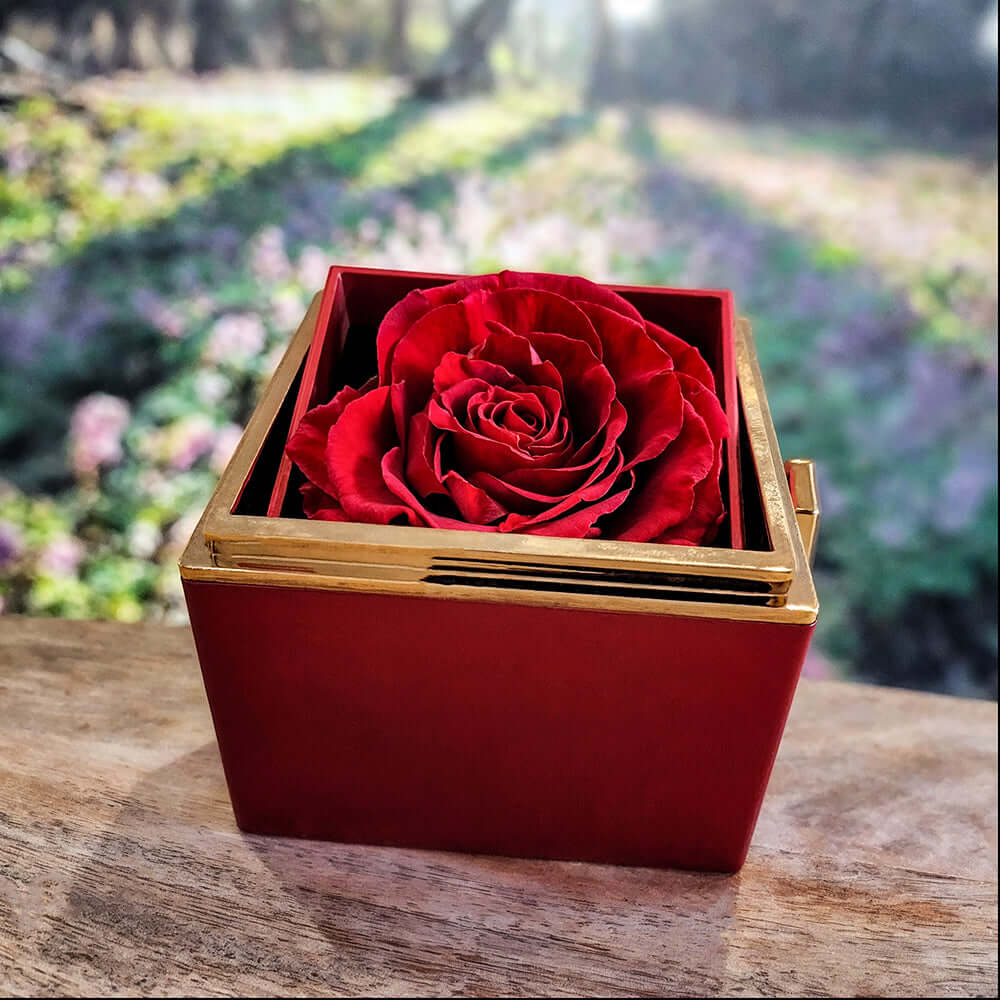 Luxurious red rose in an elegant gold-accented box, symbolizing everlasting love and beauty.