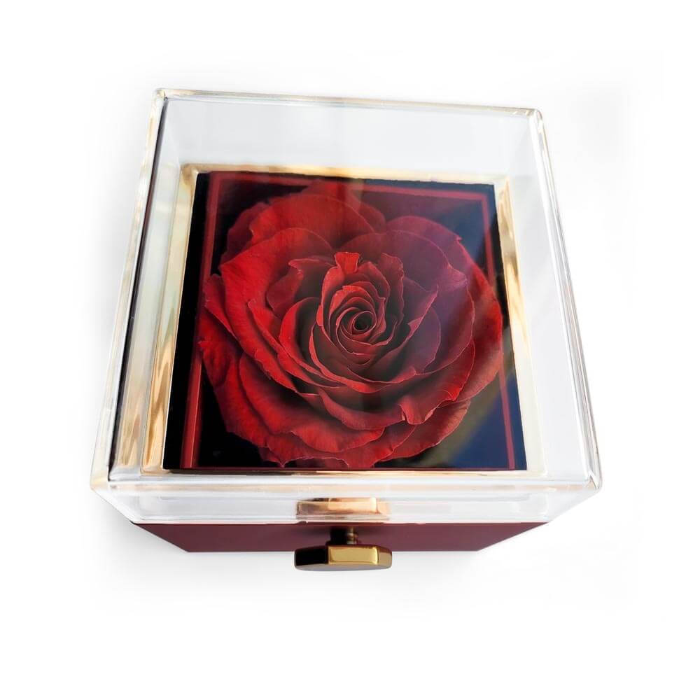 Luxurious display box featuring a preserved red rose, perfect for gifting with Love Knot Necklace.