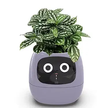 AI SmartGrow Planter with expressive eyes, featuring a healthy green plant and smart technology for effortless care.