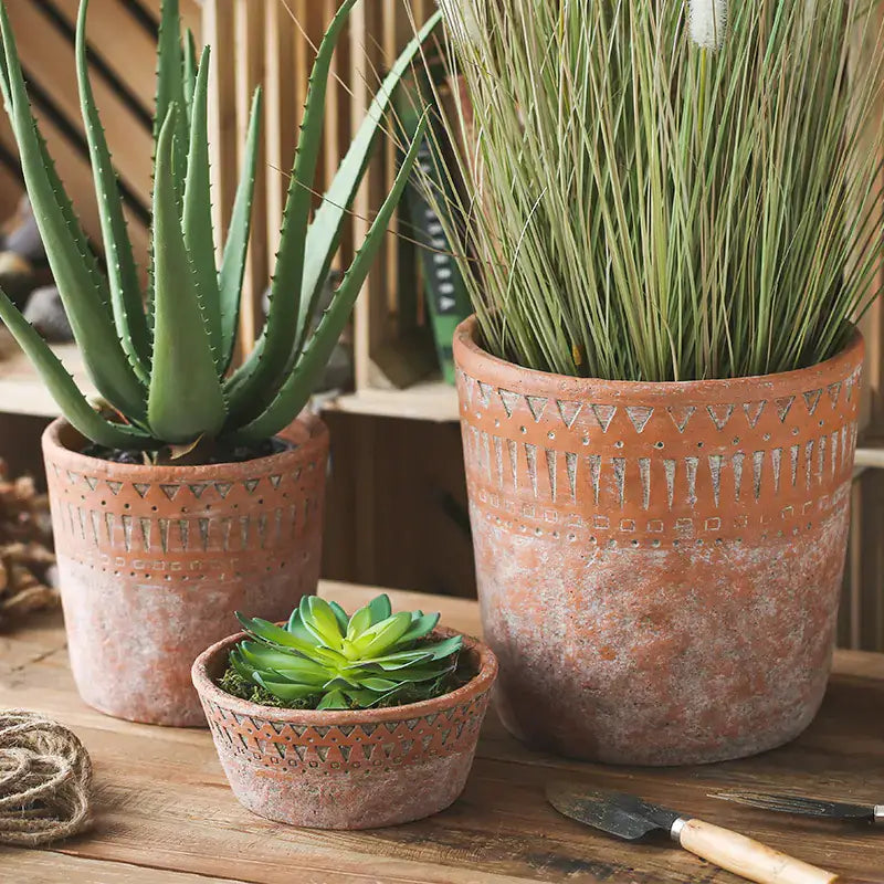 Vintage red clay pots with African design, showcasing succulents and green plants for home decor.